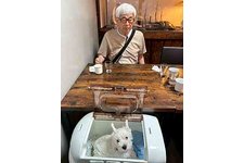 写真49306_4